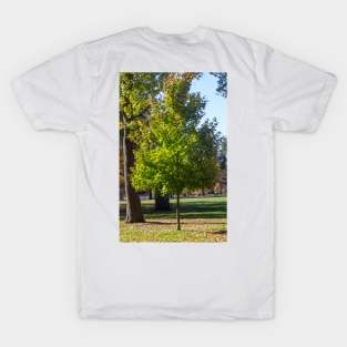 Standing Beauty T-Shirt